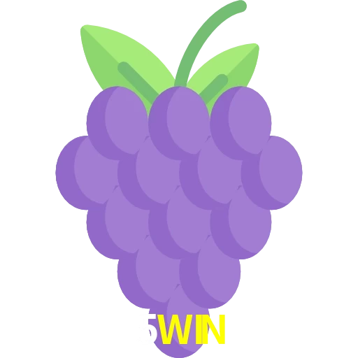 5WIN